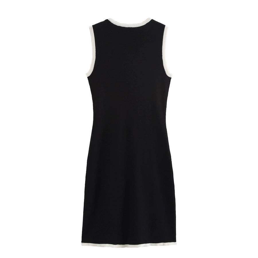 Women's Tank Dress Streetwear Round Neck Button Sleeveless Color Block Above Knee Casual Holiday